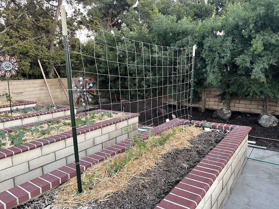 Mary & Paul's Casa Valencia Vegetable Garden being constructed