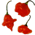 Peppers