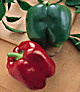 Bell Peppers