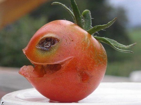 Funny fruits and vegetables