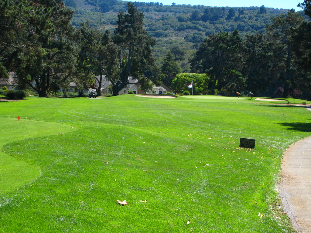 Well Placed Bunkers