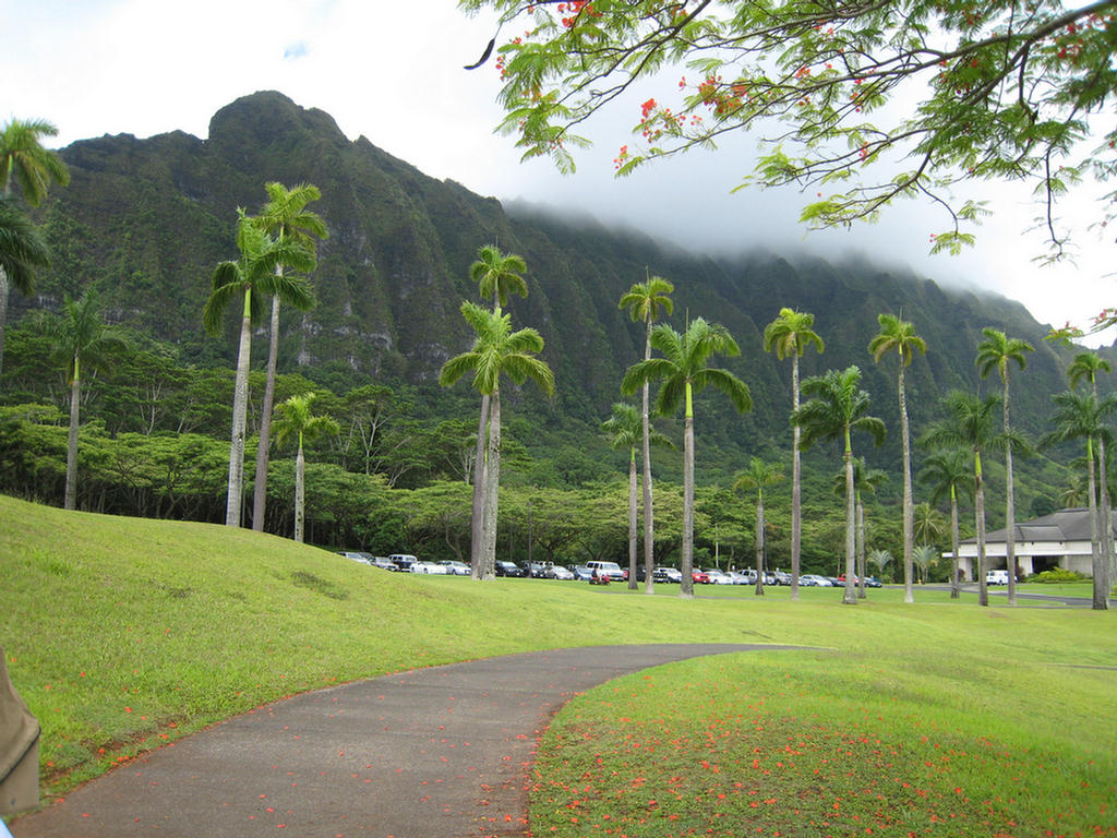 Lush Tropical Setting And Dry For Today!