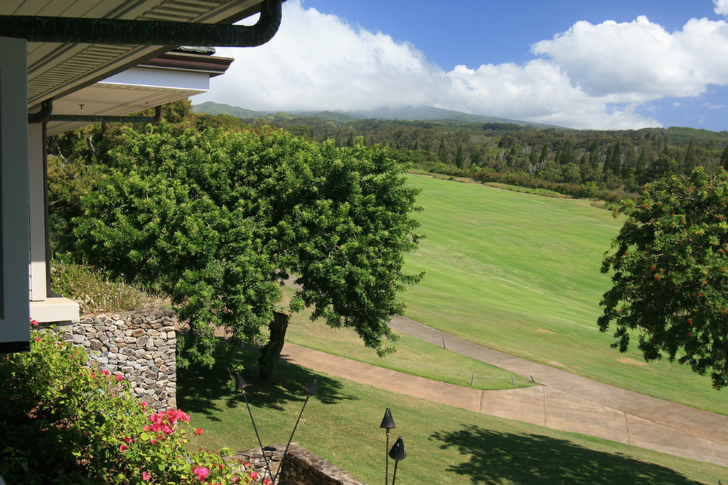 View From The Bar