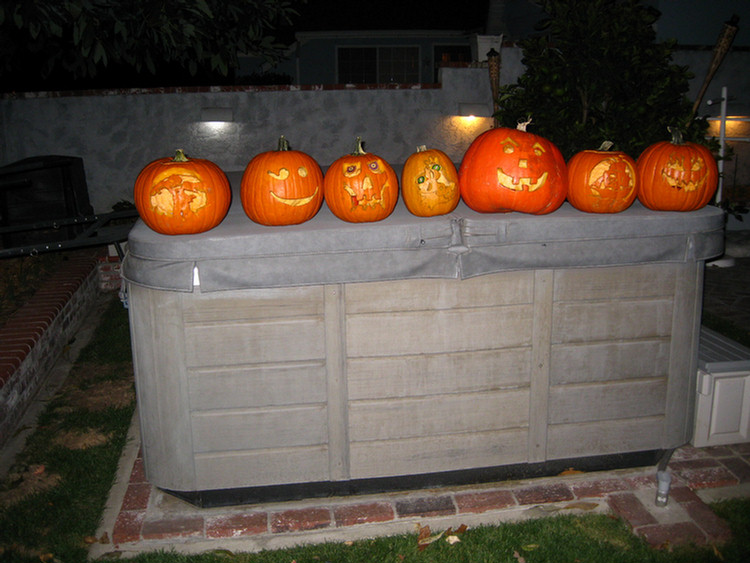 Post Carving Activities 2009