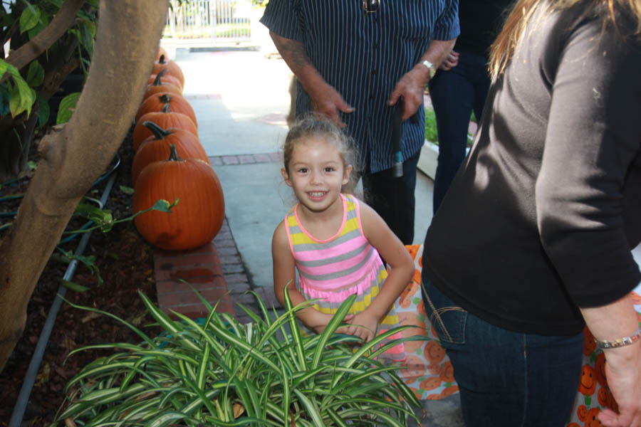 Pumpkin carving October 26th 2014 with family