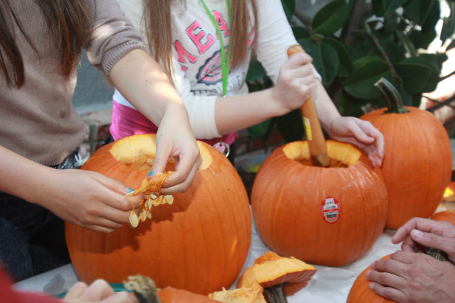 Pumpkin carving October 26th 2014 with family