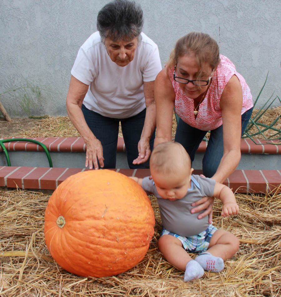 Pumpkin carving with family 10/29/2016