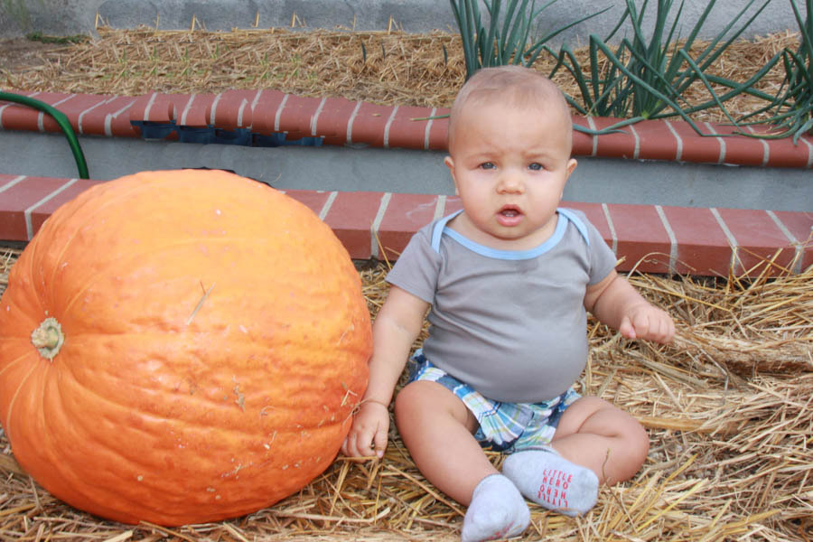 Pumpkin carving with family 10/29/2016