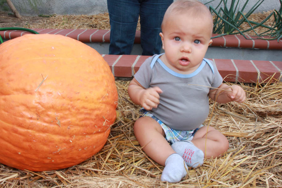 Pumpkin carving with family 10/29/2016