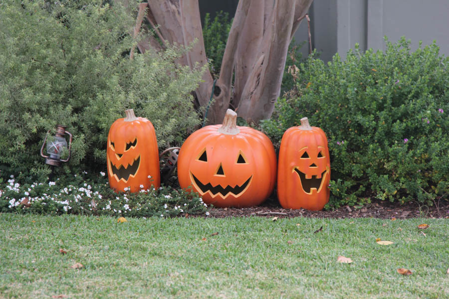 Walking is excellent exercise and the spooky things keep one moving!