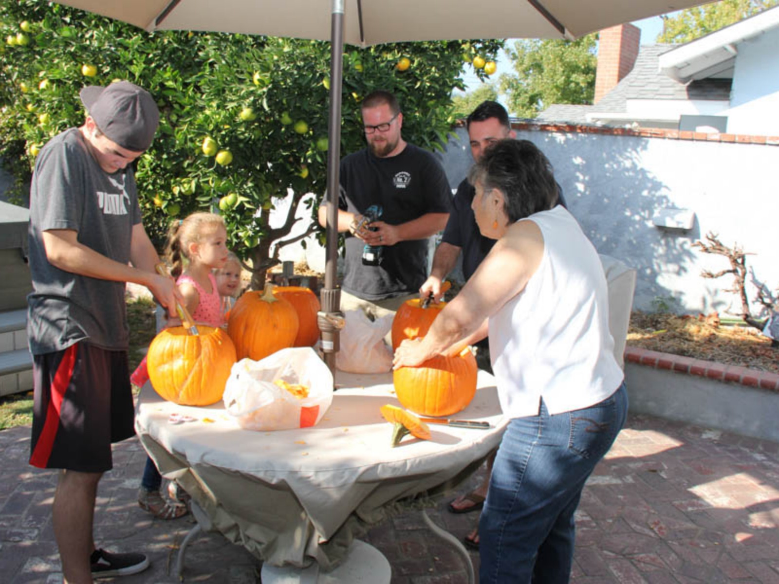 Pumpkin Assembly Line In Full Swing