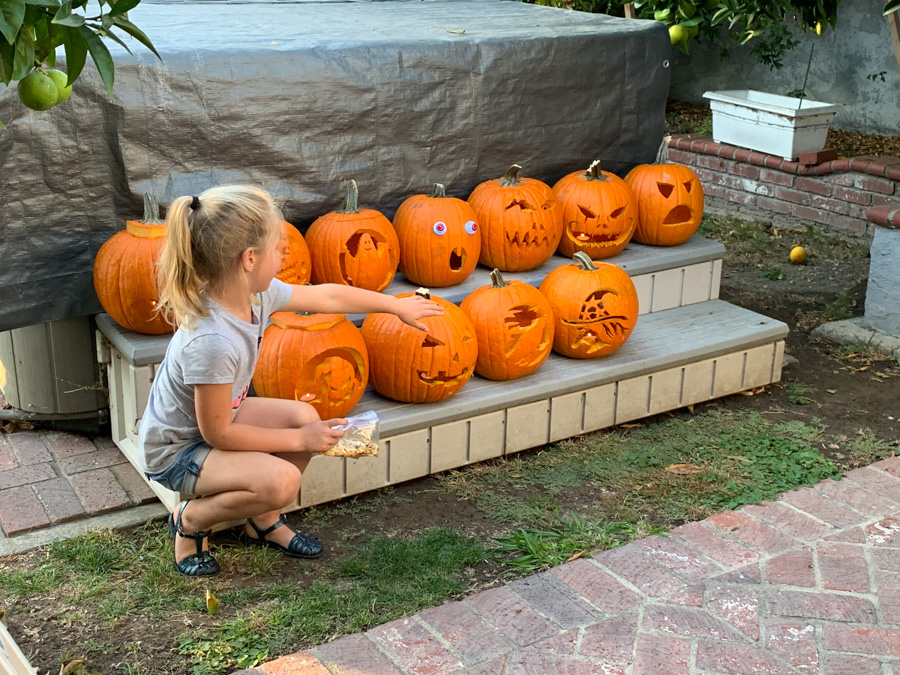 Carve those pumpkins October 26th 2019