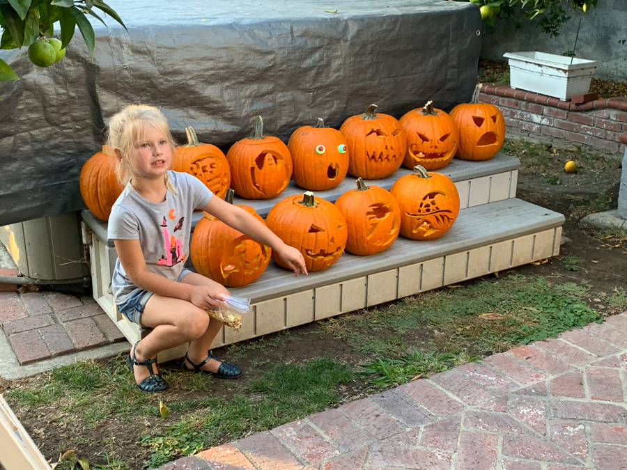 Carve those pumpkins October 26th 2019