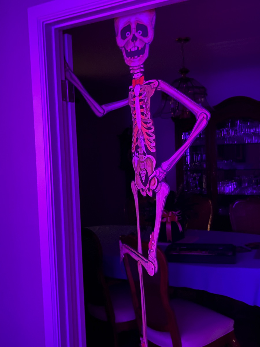 Halloween 2021 decorations; putting our things together for the first time!