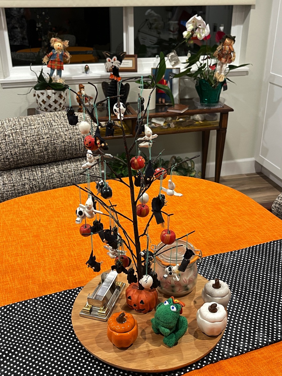 Halloween 2021 decorations; putting our things together for the first time!