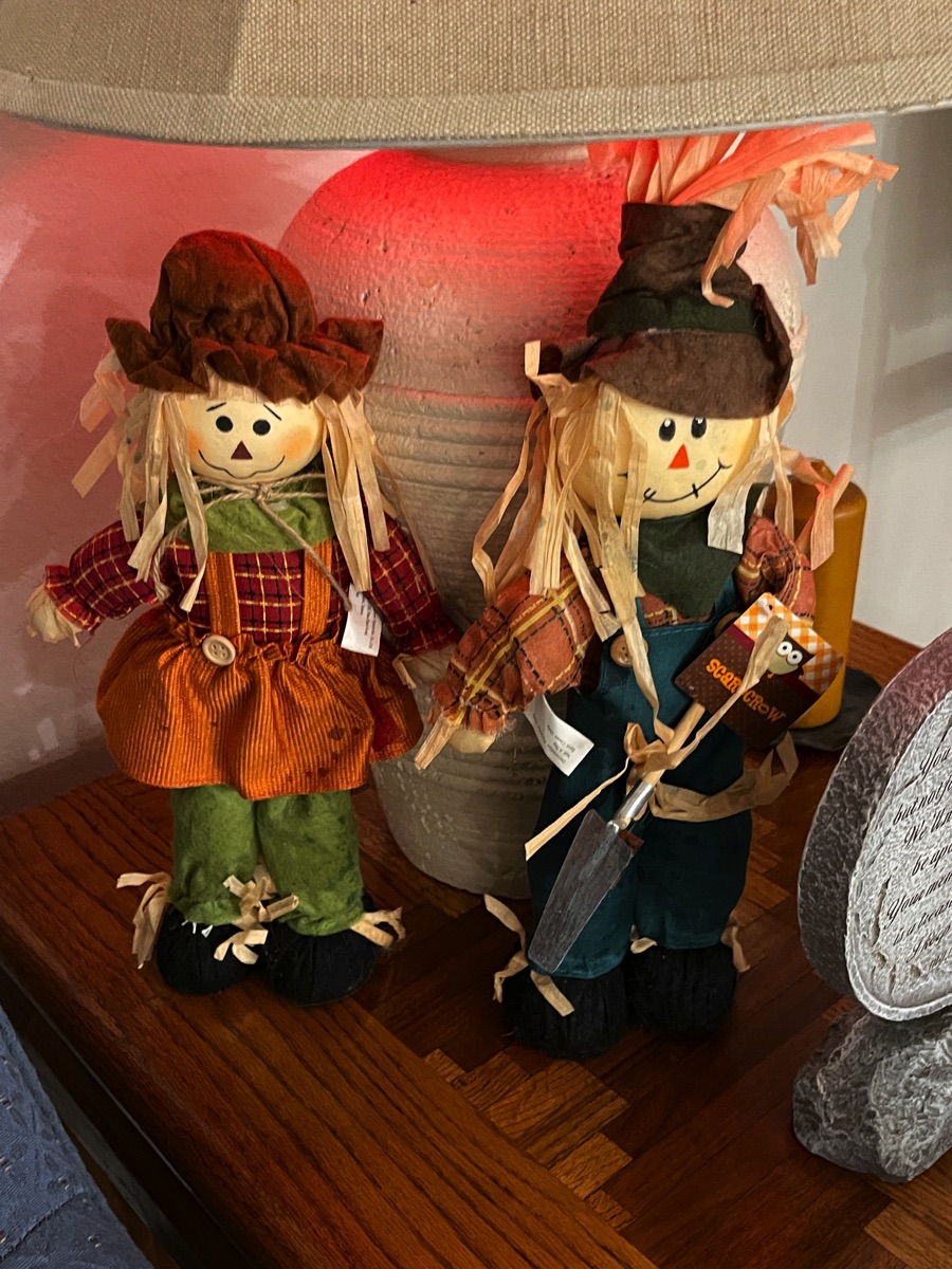 Halloween 2021 decorations; putting our things together for the first time!