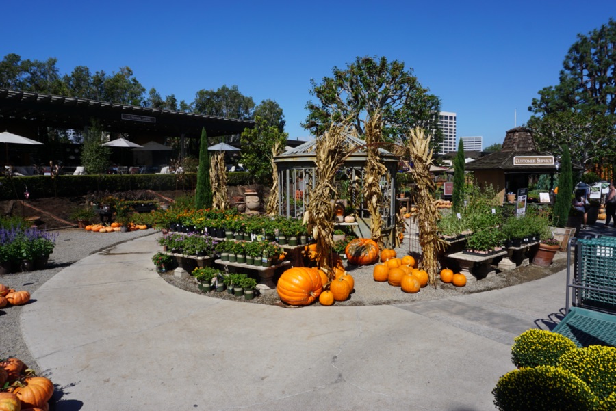 Roger's Gardens At Halloween 2022