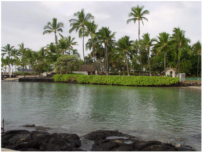 Kona Hawaii Snorkeling Adventure