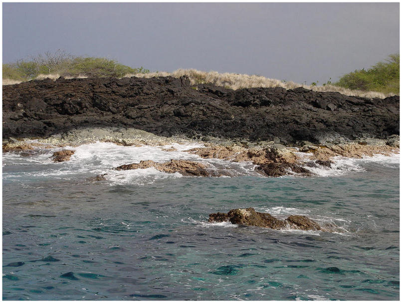 Kona Hawaii Snorkeling Adventure