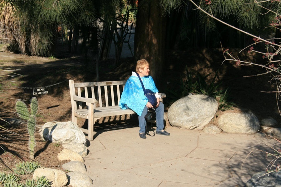 Huntington Library & Gardens