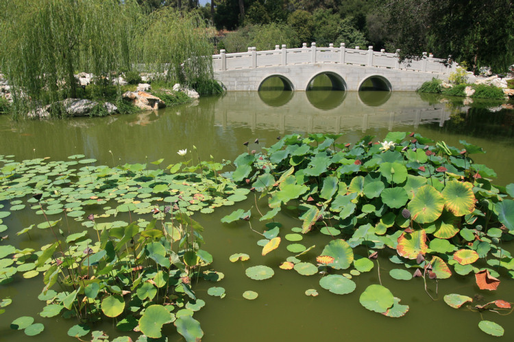 Huntington Library and Gardens August 2009