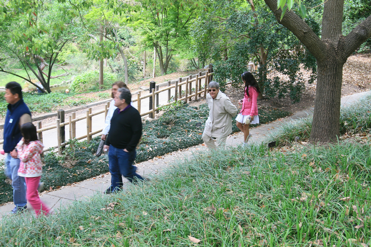 Oriental gardens at the Huntington 2009