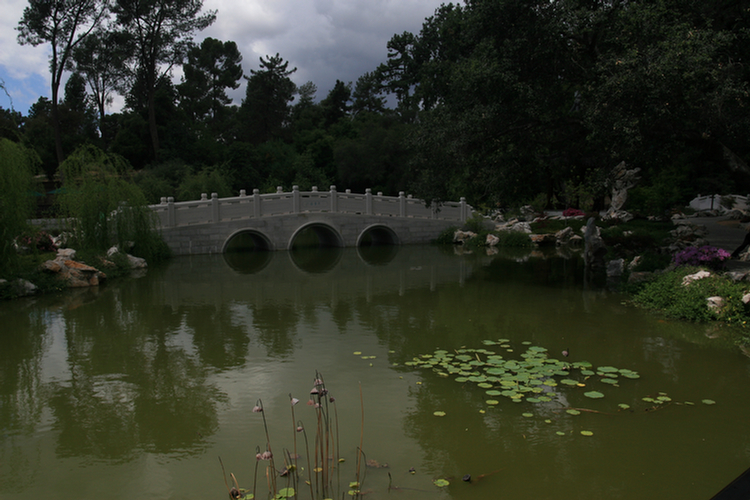 Oriental gardens at the Huntington 2009