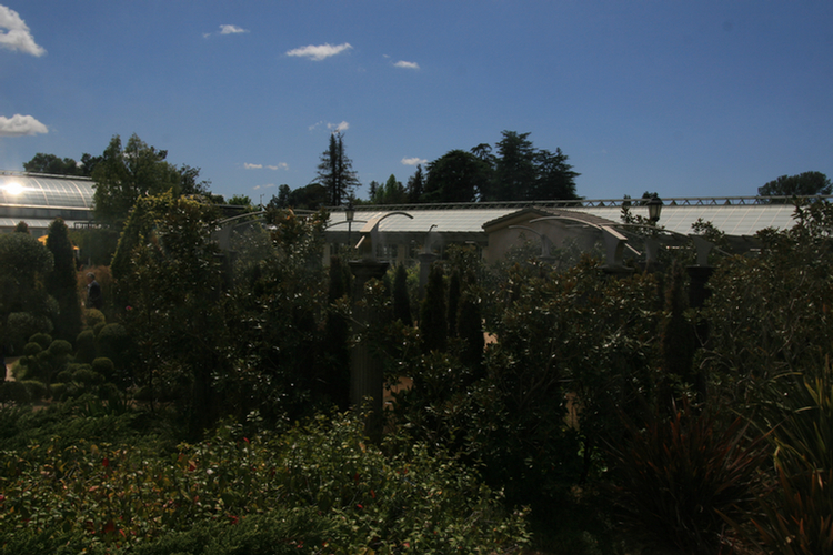 The Conservatory and Kids Garden