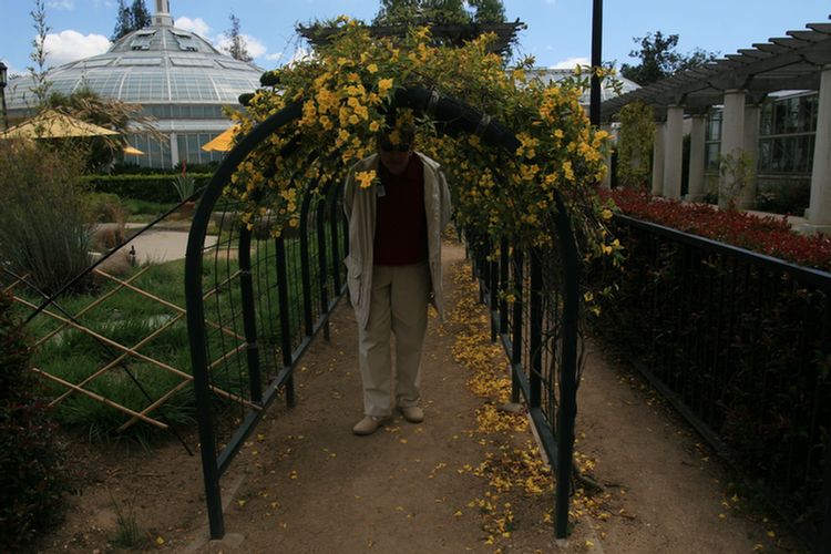 The Conservatory and Kids Garden