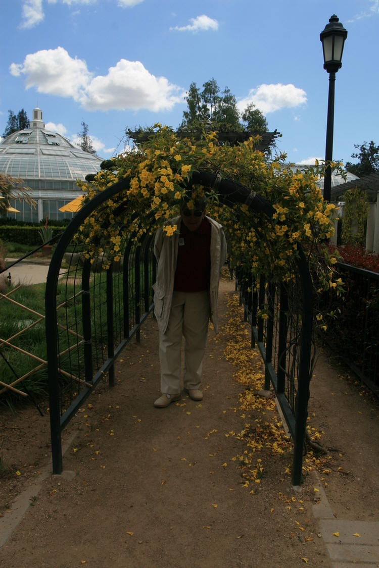 The Conservatory and Kids Garden