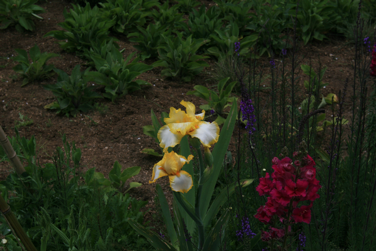 The Conservatory and Kids Garden