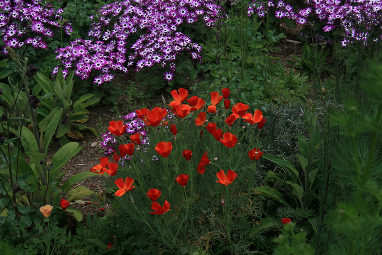 The Conservatory and Kids Garden