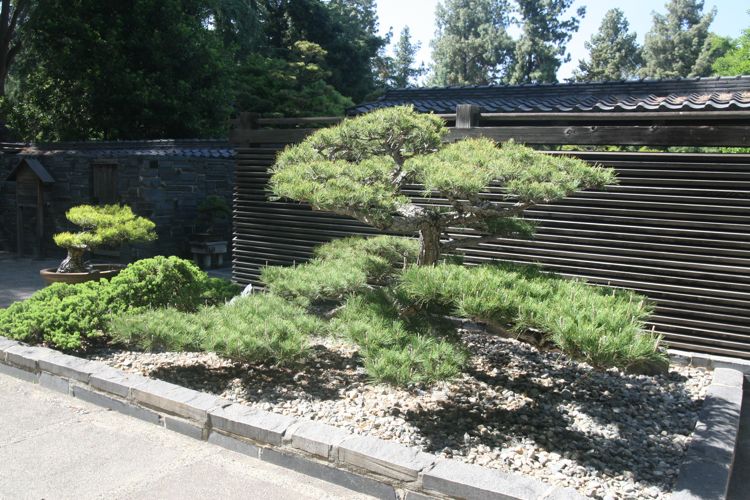 Huntington Japanese and Chinese Gardens