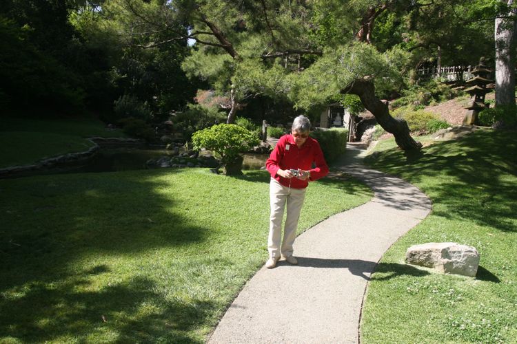 Huntington Japanese and Chinese Gardens