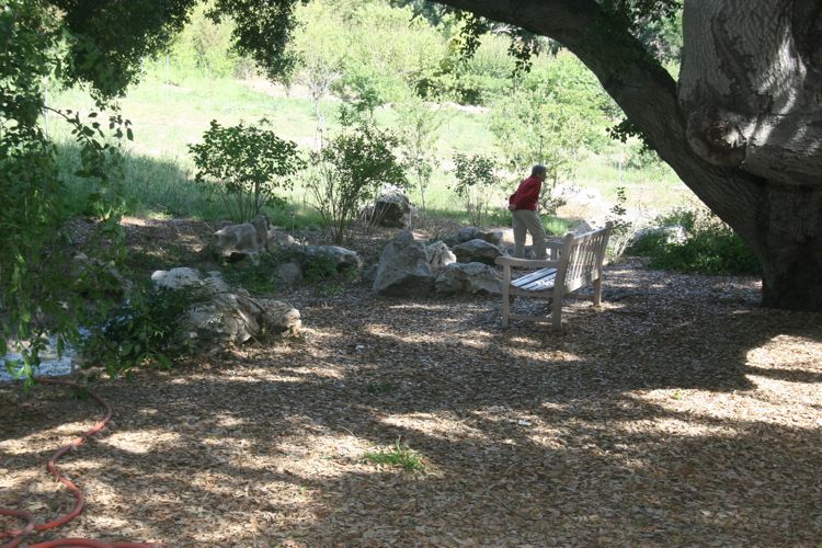 Huntington Japanese and Chinese Gardens