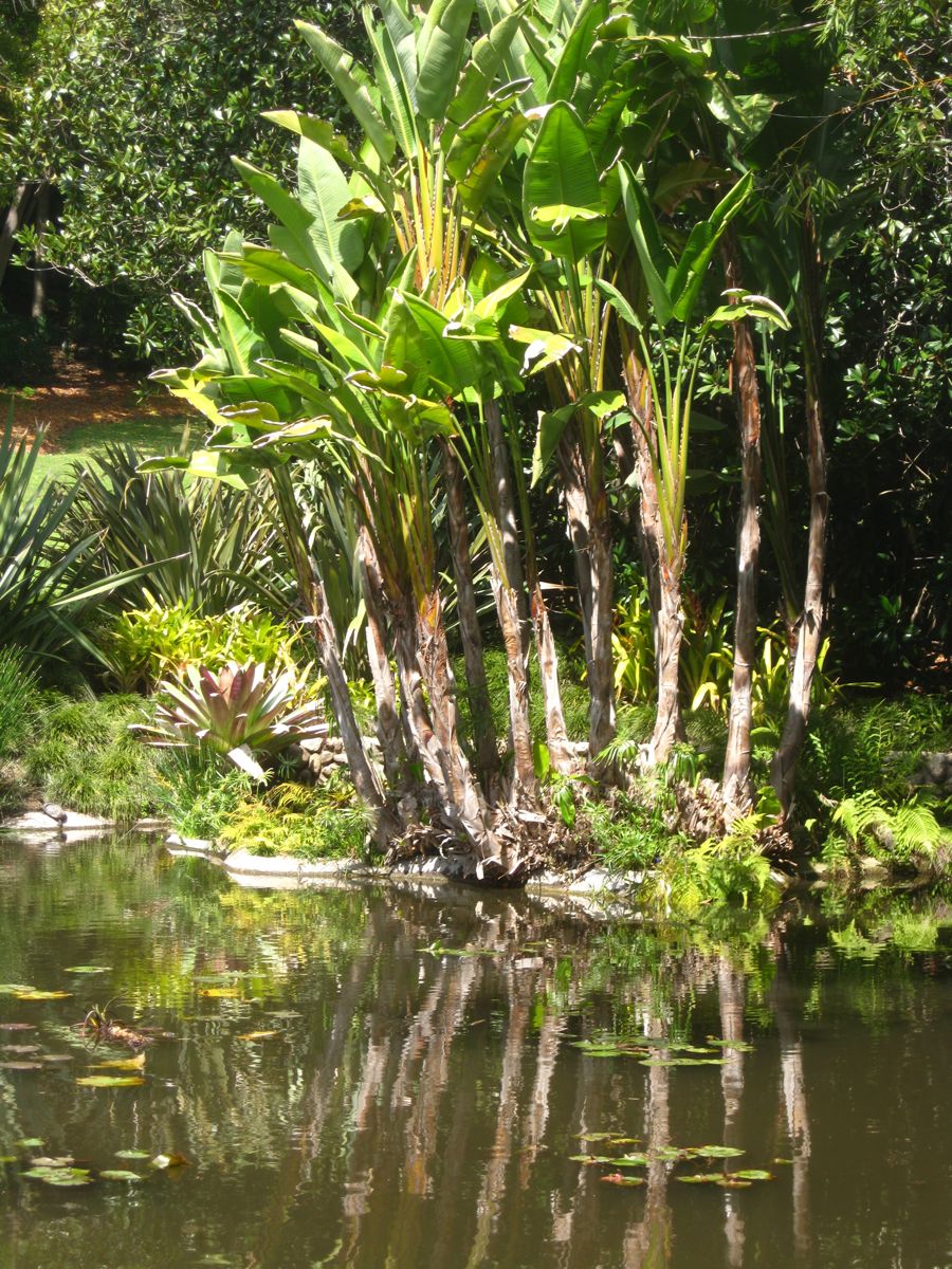 Visiting the Huntington Library &  Gardens