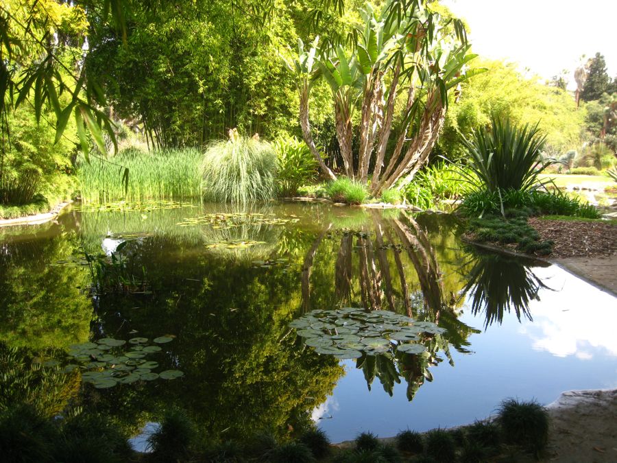 Visiting the Huntington Library &  Gardens