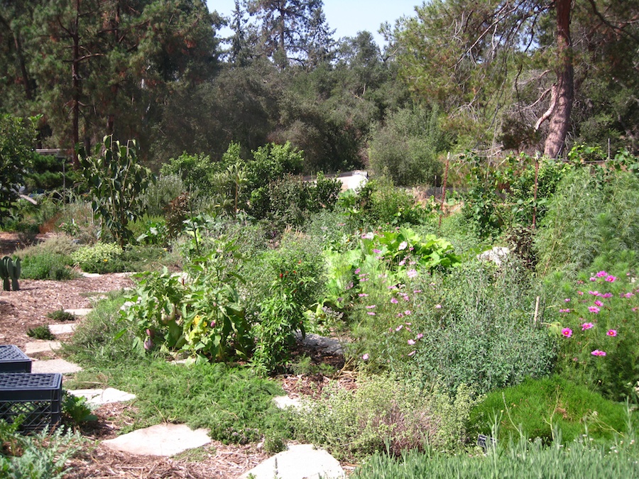 A visit to the educational center at the Huntington Gardens