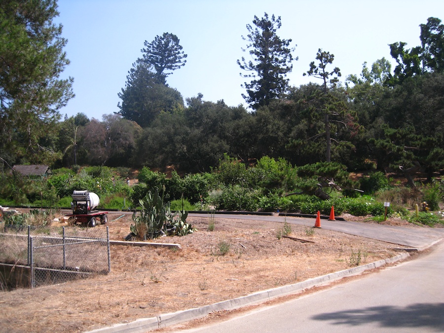 A visit to the educational center at the Huntington Gardens