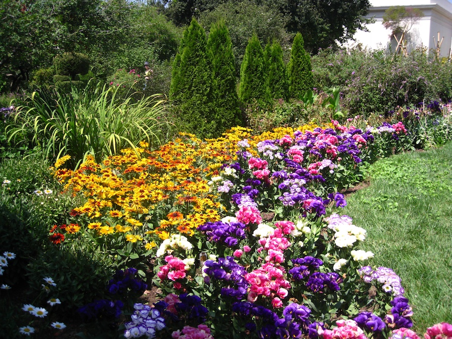 A visit to the educational center at the Huntington Gardens