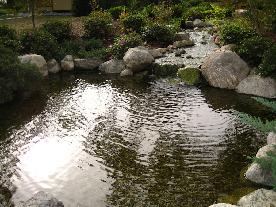 Huntington Japanese Garden visit December 2012 Members Only Day