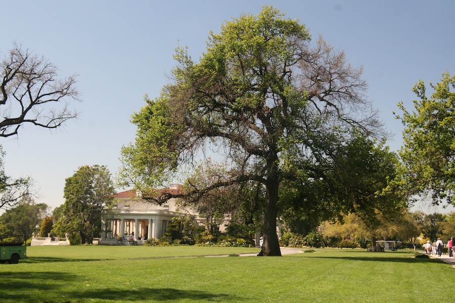 Celebrating five years retired at Huntington Gardens