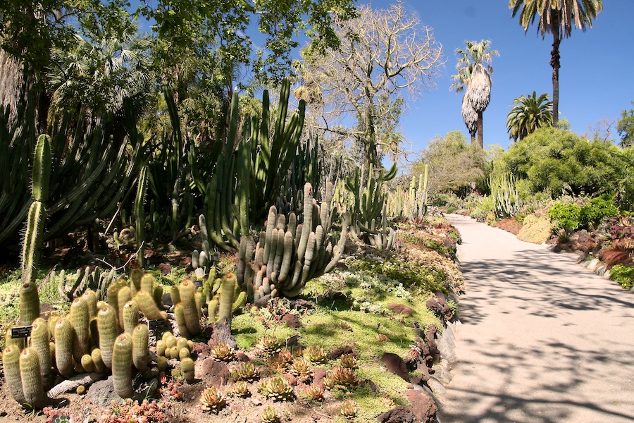 Celebrating five years retired at Huntington Gardens