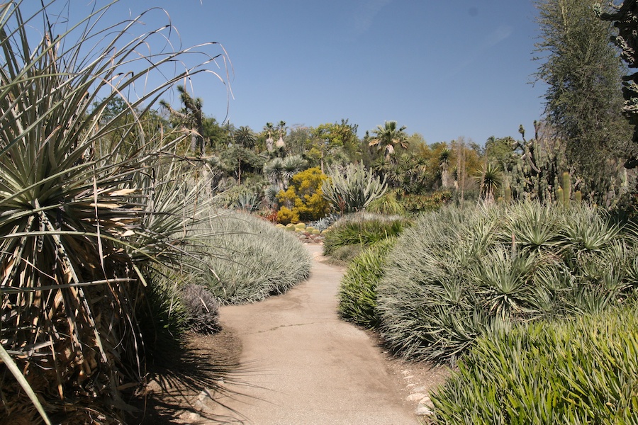 Celebrating five years retired at Huntington Gardens