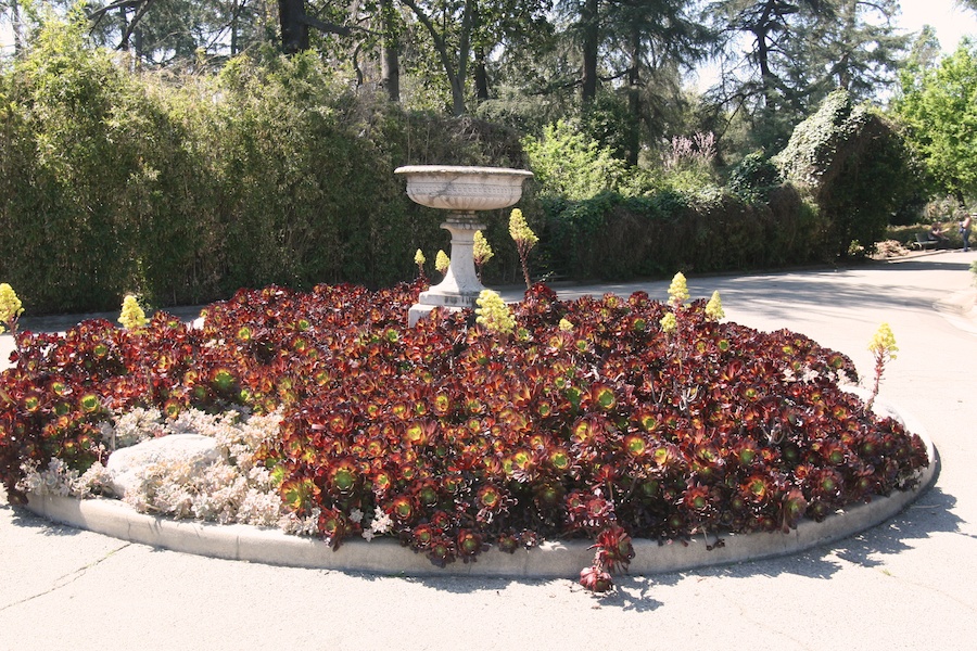 Celebrating five years retired at Huntington Gardens