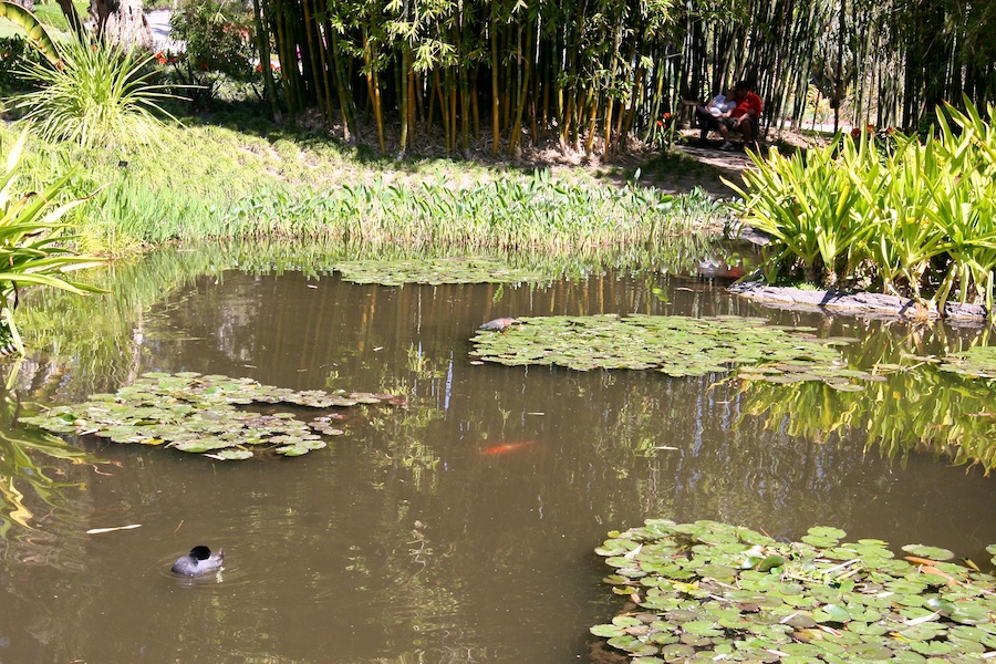 Celebrating five years retired at Huntington Gardens