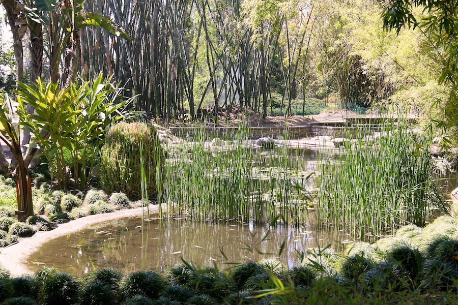 Celebrating five years retired at Huntington Gardens