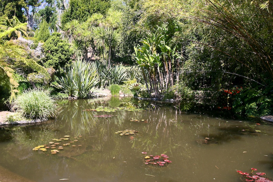 Celebrating five years retired at Huntington Gardens