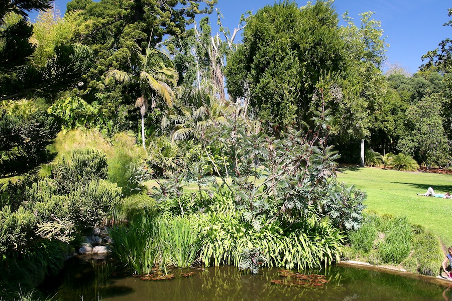 Celebrating five years retired at Huntington Gardens