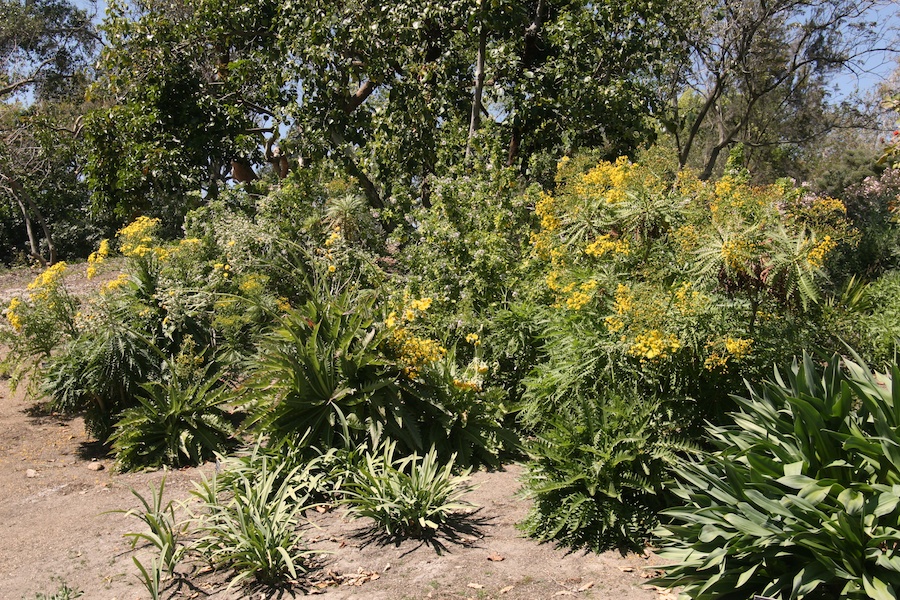 Celebrating five years retired at Huntington Gardens